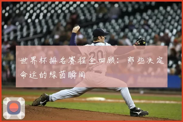 世界杯排名赛程全回顾:那些决定命运的绿茵瞬间