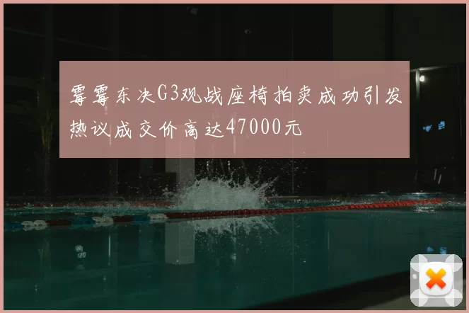 霉霉东决G3观战座椅拍卖成功引发热议成交价高达47000元
