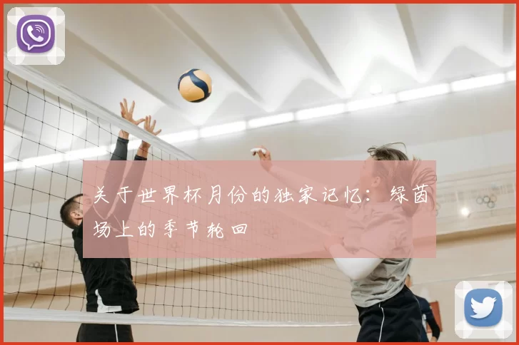 关于世界杯月份的独家记忆：绿茵场上的季节轮回