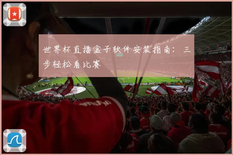 世界杯直播盒子软件安装指南:三步轻松看比赛