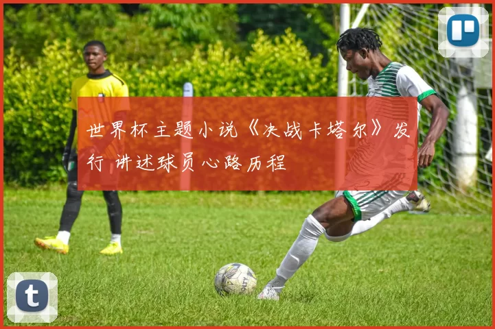 世界杯主题小说《决战卡塔尔》发行 讲述球员心路历程