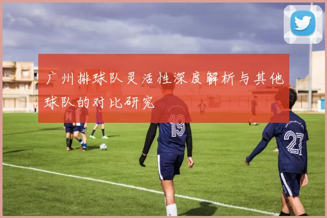 广州排球队灵活性深度解析与其他球队的对比研究