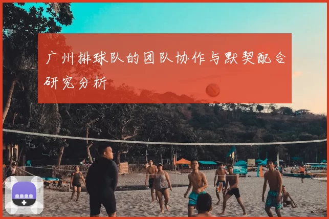 广州排球队的团队协作与默契配合研究分析
