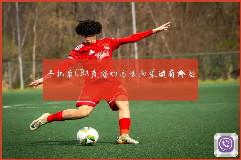 手机看CBA直播的方法和渠道有哪些