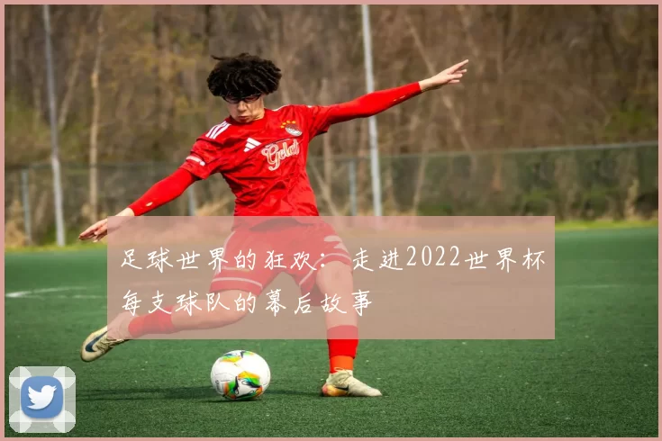 足球世界的狂欢：走进2022世界杯每支球队的幕后故事