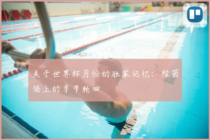 关于世界杯月份的独家记忆:绿茵场上的季节轮回