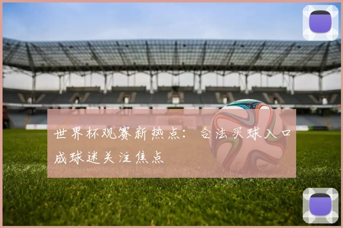 世界杯观赛新热点:合法买球入口成球迷关注焦点