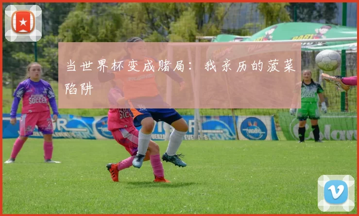 当世界杯变成赌局:我亲历的菠菜陷阱