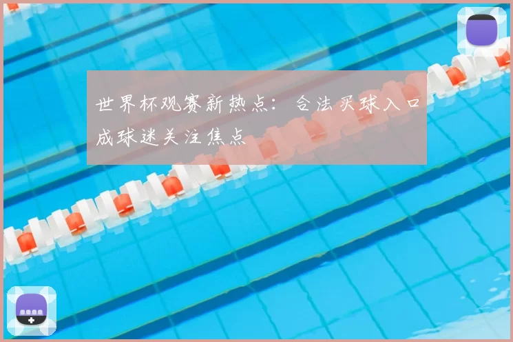 世界杯观赛新热点:合法买球入口成球迷关注焦点