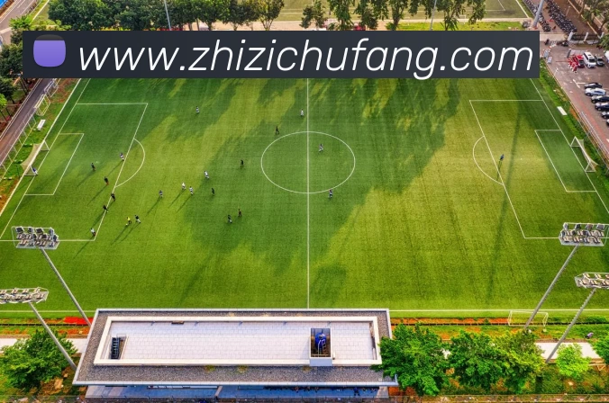 奖项图2